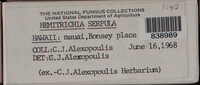 Image Associated With the Occurence